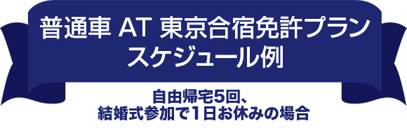 普通車ATモデルスケジュール　東京合宿免許プラン