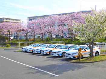 日吉自動車学校受付スタッフ